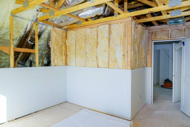 Best Spray Foam Insulation  in Shavano Park, TX