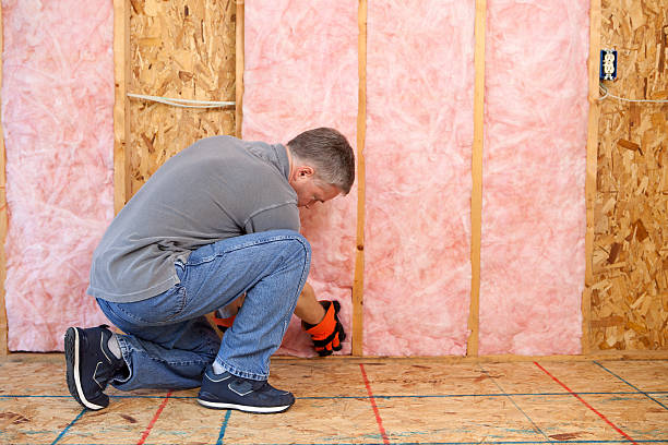 Best Wall Insulation Contractor  in Shavano Park, TX
