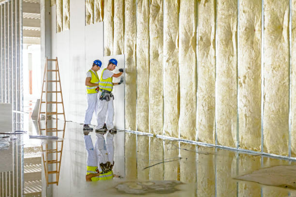 Best Insulation Removal  in Shavano Park, TX